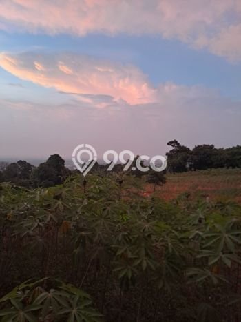 Tanah Dijual di Bogor Seluas 10000m2 Strategis Tanah Dijual di Bogor Seluas 10000m2 Strategis