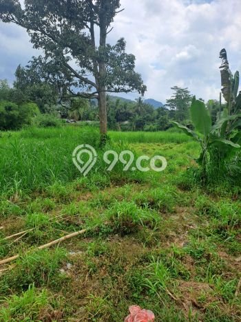 Tanah untuk Dijual di Rumpin Bogor Luas 12000m2 Tanah untuk Dijual di Rumpin Bogor Luas 12000m2