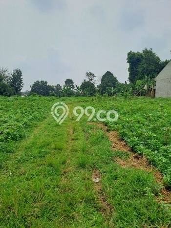 Lahan Investasi Lokasi Kemang Bogor AJB Lahan Investasi Lokasi Kemang Bogor AJB