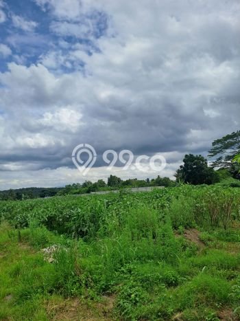 Kavling Tanah Dijual di Ranca Bungur, Bogor, Luas 20000m2 Area Strategis Kavling Tanah Dijual di Ranca Bungur, Bogor, Luas 20000m2 Area Strategis