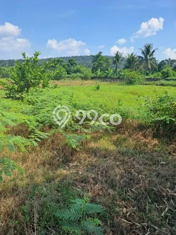 Lahan untuk Dijual Lokasi Kemang, Bogor Luas 120000m2 SHM Lahan untuk Dijual Lokasi Kemang, Bogor Luas 120000m2 SHM