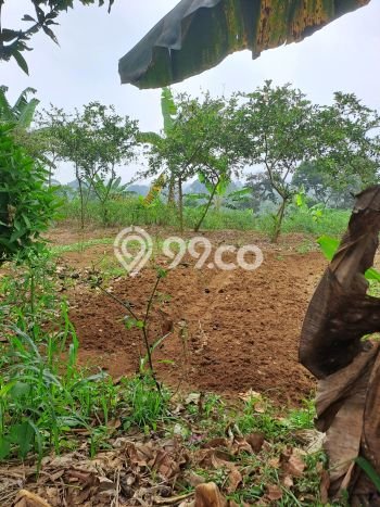 Lahan Investasi Lokasi Caringin Bogor AJB Lahan Investasi Lokasi Caringin Bogor AJB