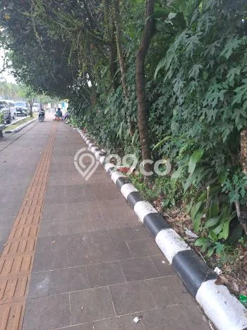 Untuk Dijual Tanah di Cibinong Bogor Luas 2500m2 SHM Untuk Dijual Tanah di Cibinong Bogor Luas 2500m2 SHM