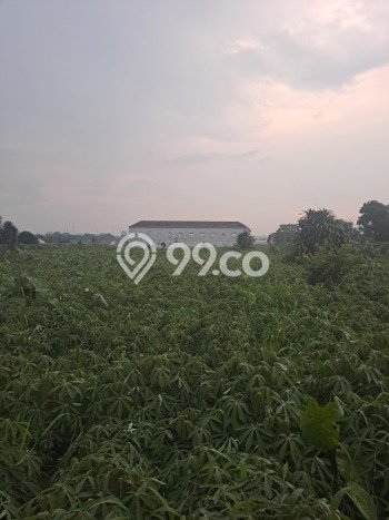 Jarang Ada! Tanah di Kemang Punya Luas 40000m2 SHM Jarang Ada! Tanah di Kemang Punya Luas 40000m2 SHM