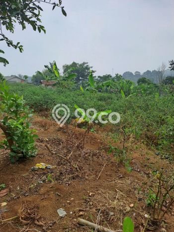 Lahan Investasi Lokasi Caringin Bogor AJB Lahan Investasi Lokasi Caringin Bogor AJB