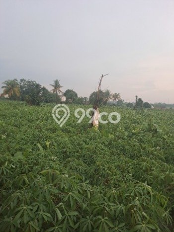 Jarang Ada! Tanah di Kemang Punya Luas 40000m2 SHM Jarang Ada! Tanah di Kemang Punya Luas 40000m2 SHM