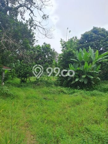 Lahan Kosong Dijual di Bogor dengan Area 3000m2 Lahan Kosong Dijual di Bogor dengan Area 3000m2