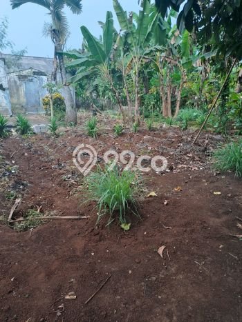 HARGA TERBAIK! Tanah di Kemang, Luas 999m², Akses Jalan Utama, Area Berkembang HARGA TERBAIK! Tanah di Kemang, Luas 999m², Akses Jalan Utama, Area Berkembang