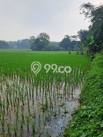 Lahan untuk Dijual di Rumpin Bogor Luas 1700m2 Lahan untuk Dijual di Rumpin Bogor Luas 1700m2