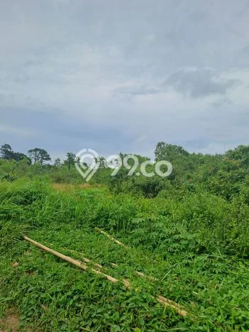 Kavling Tanah Dijual di Jasinga, Bogor, Luas 220000m2 Area Strategis Kavling Tanah Dijual di Jasinga, Bogor, Luas 220000m2 Area Strategis