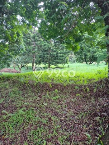 Tanah Dijual Lokasi Cisarua, Bogor dengan Luas Tanah 10000m2 dan Status SHM Tanah Dijual Lokasi Cisarua, Bogor dengan Luas Tanah 10000m2 dan Status SHM