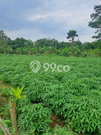 Lahan Strategis di Rumpin Dijual dengan Luas 1000m2 Lahan Strategis di Rumpin Dijual dengan Luas 1000m2