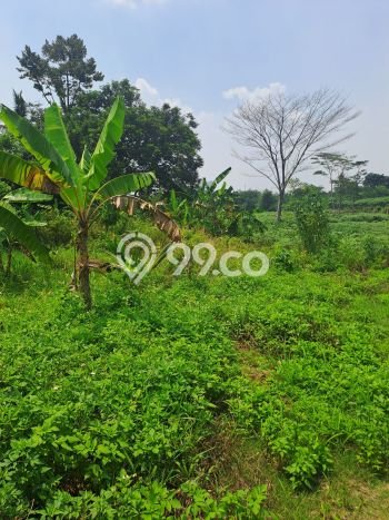 Tanah Dijual Area Strategis di Sentul City Bogor 16000m2 Tanah Dijual Area Strategis di Sentul City Bogor 16000m2