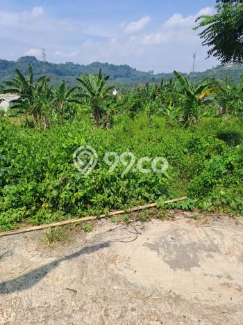 Tanah untuk Dijual di Rumpin Bogor Luas 12000m2 Tanah untuk Dijual di Rumpin Bogor Luas 12000m2