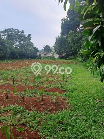 Lahan Strategis di Kemang Dijual dengan Luas 986m2 Lahan Strategis di Kemang Dijual dengan Luas 986m2