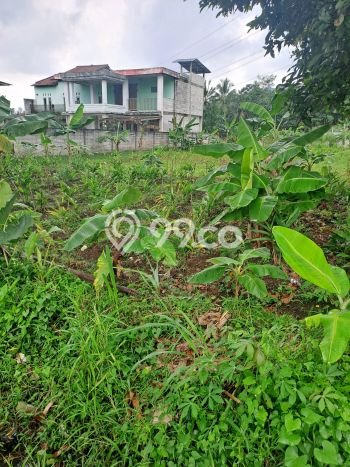 Untuk Dijual Tanah di Rumpin Bogor Luas 1000m2 SHM Untuk Dijual Tanah di Rumpin Bogor Luas 1000m2 SHM
