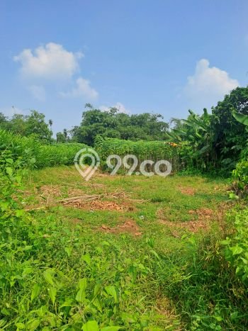 Tanah Dijual Lokasi Ranca Bungur, Bogor dengan Luas Tanah 12000m2 dan Status SHM Tanah Dijual Lokasi Ranca Bungur, Bogor dengan Luas Tanah 12000m2 dan Status SHM