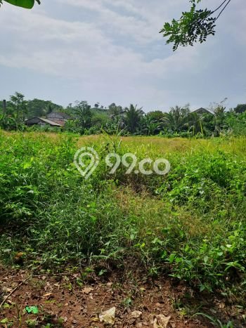 Tanah di Cigudeg, Bogor Luas 46000m2 Dijual Segera Tanah di Cigudeg, Bogor Luas 46000m2 Dijual Segera