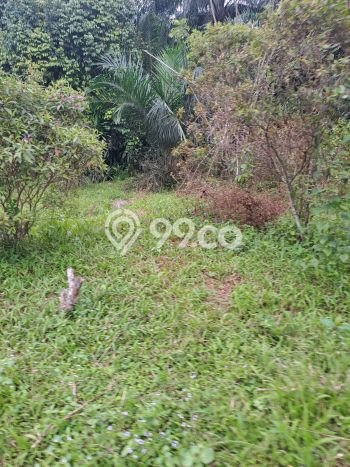 Lahan Kosong Dijual di Bogor dengan Area 8000m2 Lahan Kosong Dijual di Bogor dengan Area 8000m2