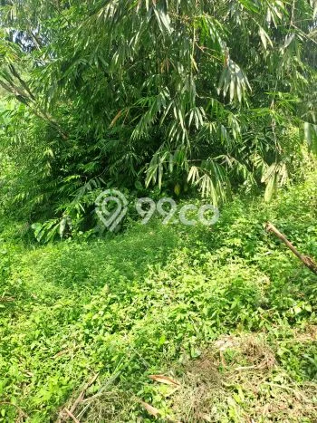 Tanah Kawasan Rumpin, Luas 1200m², Area Premium, Cocok untuk Properti Tanah Kawasan Rumpin, Luas 1200m², Area Premium, Cocok untuk Properti