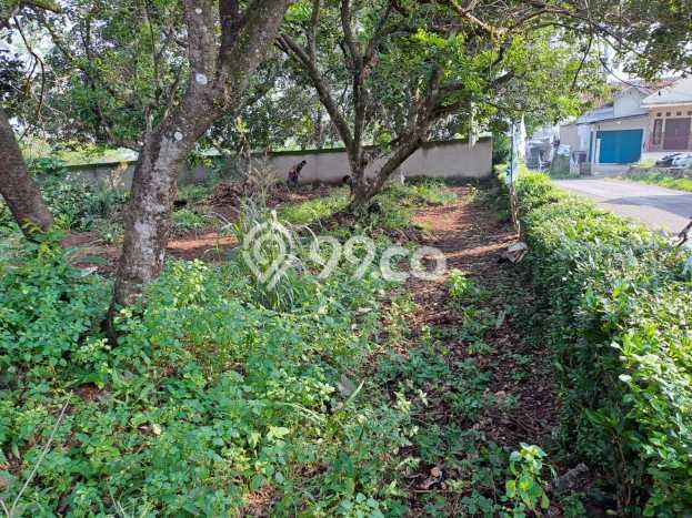 Tanah Dijual Lokasi Ciampea Bogor SHM Tanah Dijual Lokasi Ciampea Bogor SHM