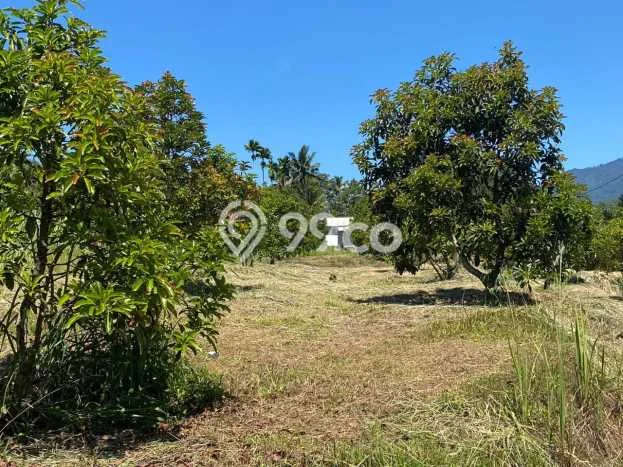 Tanah untuk Dijual di Bojong Genteng Sukabumi Luas 75000m2 Tanah untuk Dijual di Bojong Genteng Sukabumi Luas 75000m2