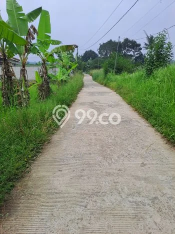 Tanah Kavling di Caringin Dijual dengan Luas 700m2 Tanah Kavling di Caringin Dijual dengan Luas 700m2