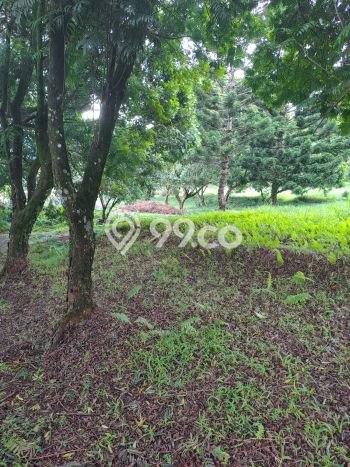 Tanah Dijual Lokasi Cisarua, Bogor dengan Luas Tanah 10000m2 dan Status SHM Tanah Dijual Lokasi Cisarua, Bogor dengan Luas Tanah 10000m2 dan Status SHM