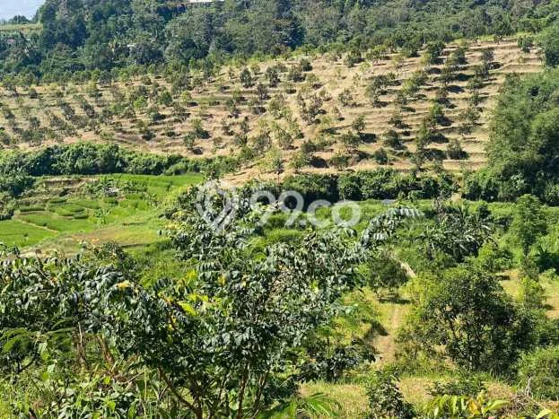 Tanah untuk Dijual di Bojong Genteng Sukabumi Luas 75000m2 Tanah untuk Dijual di Bojong Genteng Sukabumi Luas 75000m2
