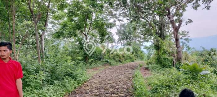 Tanah untuk Dijual di Bojong Genteng Sukabumi Luas 75000m2 Tanah untuk Dijual di Bojong Genteng Sukabumi Luas 75000m2