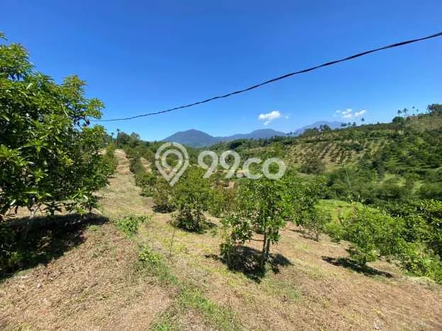 Tanah untuk Dijual di Bojong Genteng Sukabumi Luas 75000m2 Tanah untuk Dijual di Bojong Genteng Sukabumi Luas 75000m2