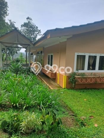 Untuk Dijual Tanah 29000m2 di Gadog, Bogor Untuk Dijual Tanah 29000m2 di Gadog, Bogor