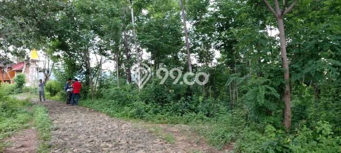 Tanah untuk Dijual di Bojong Genteng Sukabumi Luas 75000m2 Tanah untuk Dijual di Bojong Genteng Sukabumi Luas 75000m2