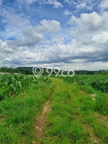 Kavling Tanah Dijual di Ranca Bungur, Bogor, Luas 20000m2 Area Strategis Kavling Tanah Dijual di Ranca Bungur, Bogor, Luas 20000m2 Area Strategis