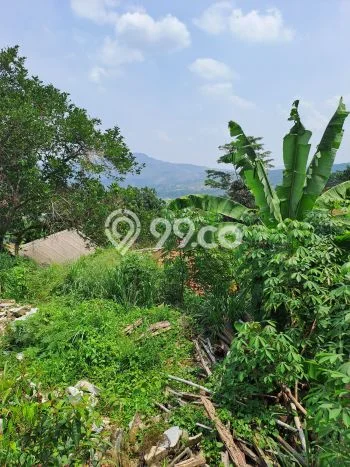 Tanah untuk Dijual Lokasi Babakan Madang, Bogor Luas 582m2 - Tanah untuk Dijual Lokasi Babakan Madang, Bogor Luas 582m2 -