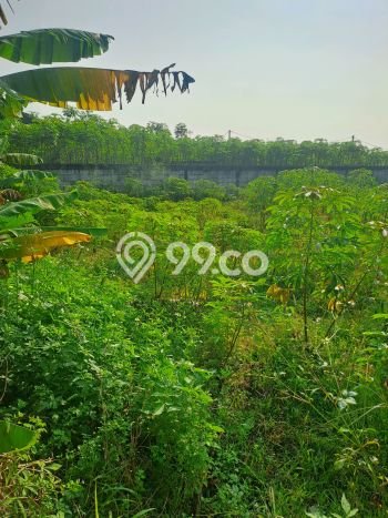Lahan Investasi Lokasi Babakan Madang Bogor SHM Lahan Investasi Lokasi Babakan Madang Bogor SHM