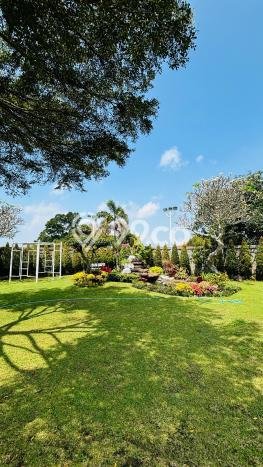 Vila Kawasan Bandungan, Area 5222m2m², Lokasi Potensial untuk bisnis Vila Kawasan Bandungan, Area 5222m2m², Lokasi Potensial untuk bisnis
