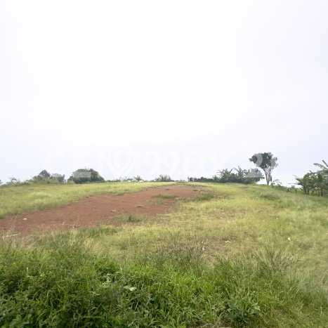 Tanah untuk Dijual Lokasi Pamijahan, Bogor Luas 80000m2 SHM Tanah untuk Dijual Lokasi Pamijahan, Bogor Luas 80000m2 SHM