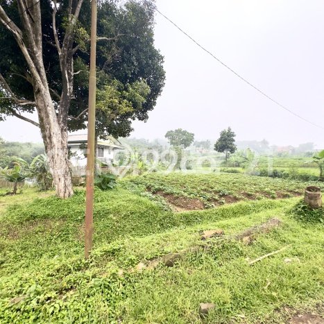 Tanah untuk Dijual Lokasi Pamijahan, Bogor Luas 80000m2 SHM Tanah untuk Dijual Lokasi Pamijahan, Bogor Luas 80000m2 SHM