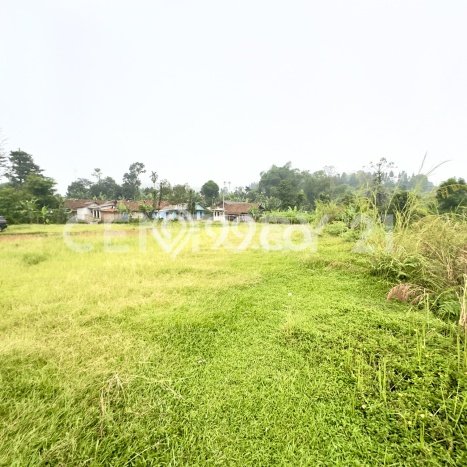 Tanah untuk Dijual Lokasi Pamijahan, Bogor Luas 80000m2 SHM Tanah untuk Dijual Lokasi Pamijahan, Bogor Luas 80000m2 SHM