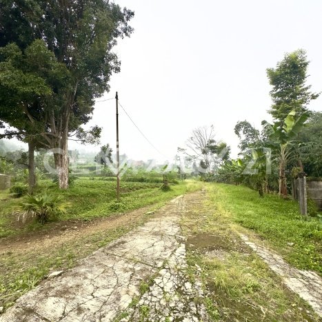 Tanah untuk Dijual Lokasi Pamijahan, Bogor Luas 80000m2 SHM Tanah untuk Dijual Lokasi Pamijahan, Bogor Luas 80000m2 SHM