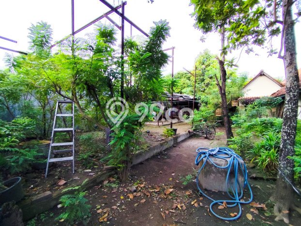 Siap Huni Hunian Elit 12 Kamar di Mantrijeron Dekat ke Mana Saja Siap Huni Hunian Elit 12 Kamar di Mantrijeron Dekat ke Mana Saja