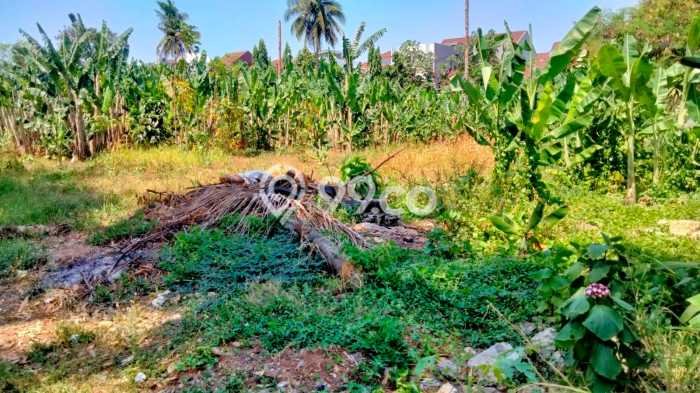 Untuk Dijual Tanah di Beji Depok Luas 11331m2 SHM Untuk Dijual Tanah di Beji Depok Luas 11331m2 SHM