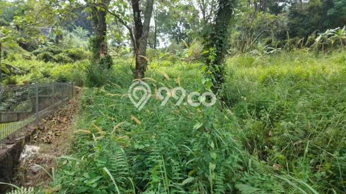 Lahan untuk Dijual Lokasi Sentul, Bogor Luas 2692m2 SHM Lahan untuk Dijual Lokasi Sentul, Bogor Luas 2692m2 SHM