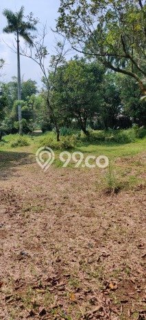 Tanah Kavling Dijual di Bekasi dengan Spesifikasi 11558m2 Tanah Kavling Dijual di Bekasi dengan Spesifikasi 11558m2