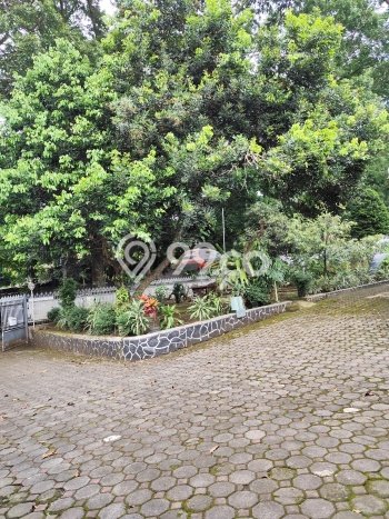 Rumah Sewa Bandung LT 1041m2 LB 450m2 Kawasan Cipedes Rumah Sewa Bandung LT 1041m2 LB 450m2 Kawasan Cipedes