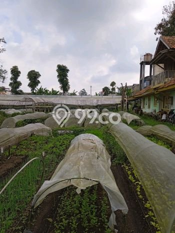 Kavling Tanah Dijual di Parongpong, Bandung Barat, Luas 3120m2 Area Strategis Kavling Tanah Dijual di Parongpong, Bandung Barat, Luas 3120m2 Area Strategis
