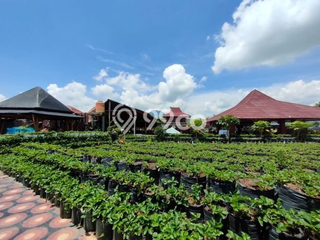 Komersial Strategis Kawasan Pujon, Luas 1400m2m², Area Komersial, Akses Pujon, Malang, Malang Komersial Strategis Kawasan Pujon, Luas 1400m2m², Area Komersial, Akses Pujon, Malang, Malang