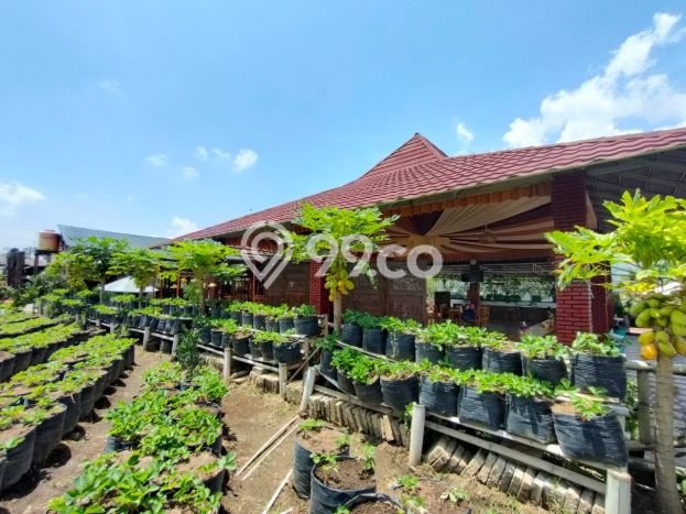 Komersial Strategis Kawasan Pujon, Luas 1400m2m², Area Komersial, Akses Pujon, Malang, Malang Komersial Strategis Kawasan Pujon, Luas 1400m2m², Area Komersial, Akses Pujon, Malang, Malang