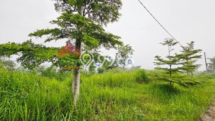 Kavling Tanah di Dau Dijual Luas 90m2 Legalitas - Kavling Tanah di Dau Dijual Luas 90m2 Legalitas -